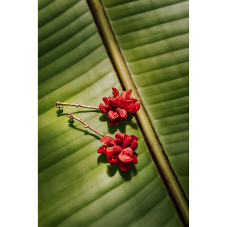 SOL DE ORO Kolczyki Flowers od Chama Navarro